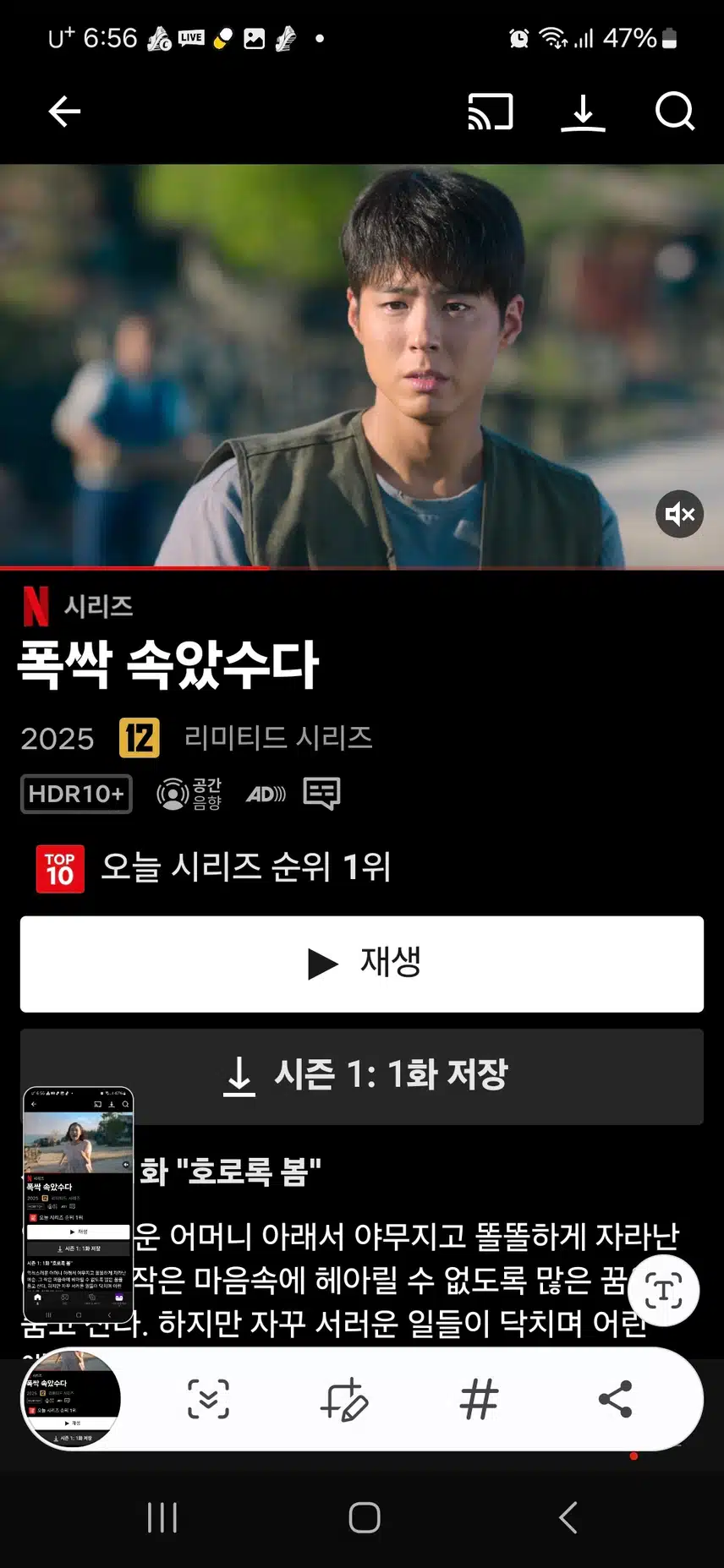 내 마음에 힐링을 주는 취미, OTT 드라마 감상