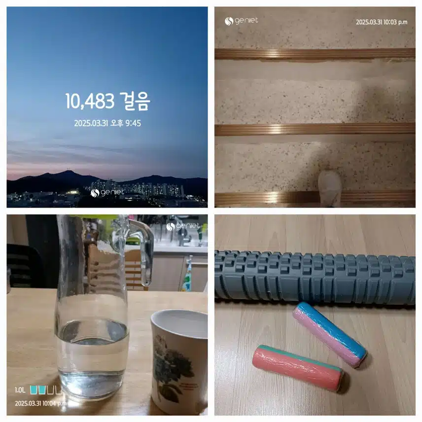 3/31월 오운완