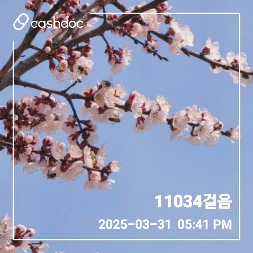 만보걷기 ♡