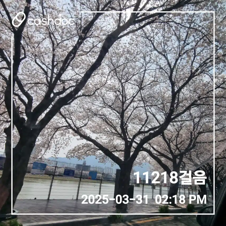 만보걷기 