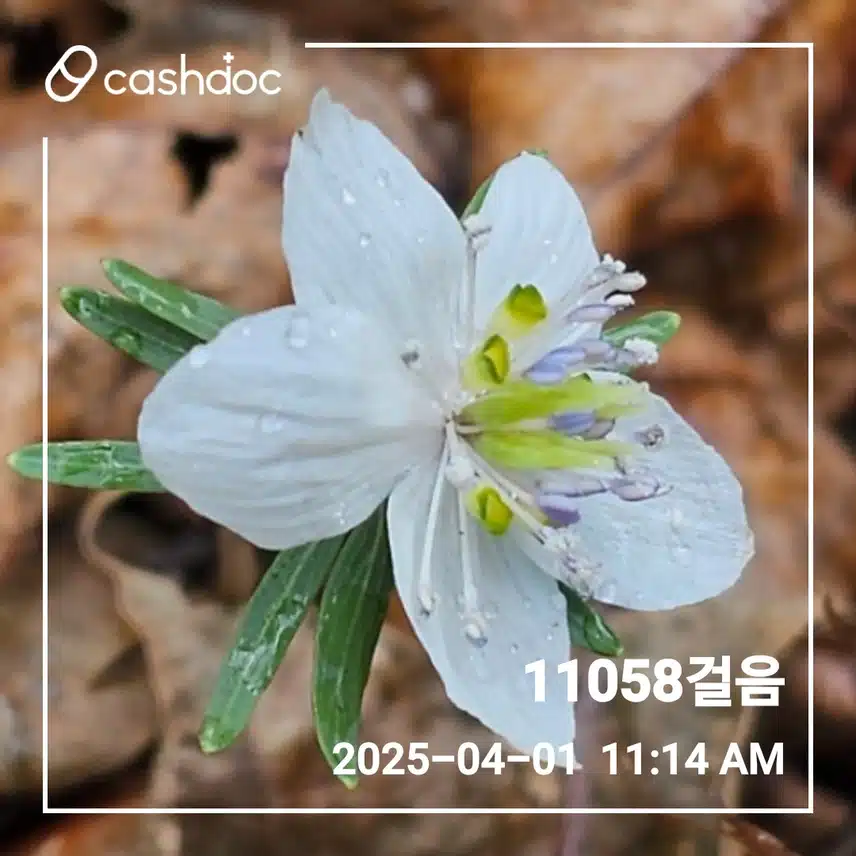 1일 만보걷기 
