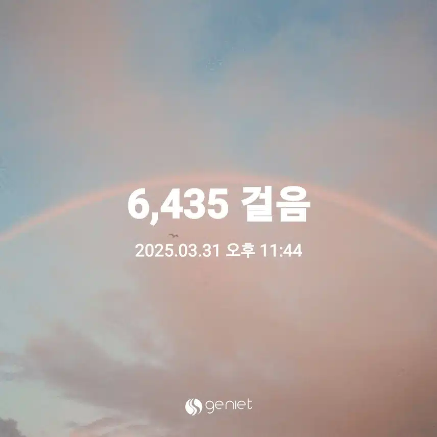 6000걸음
