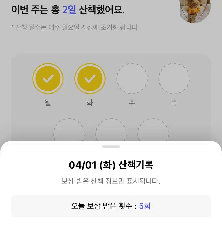 산책코스🏞️