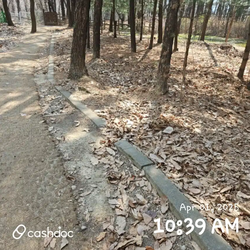 뒷산 걷기