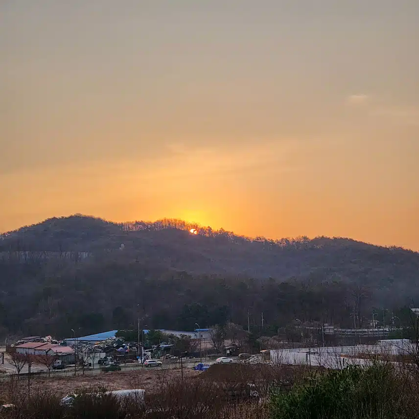 모처럼 일출 올립니다.