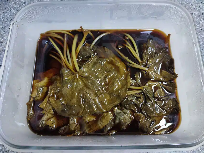 곰취장아찌