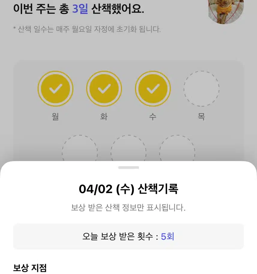 걷기하고 산책코스🏞️