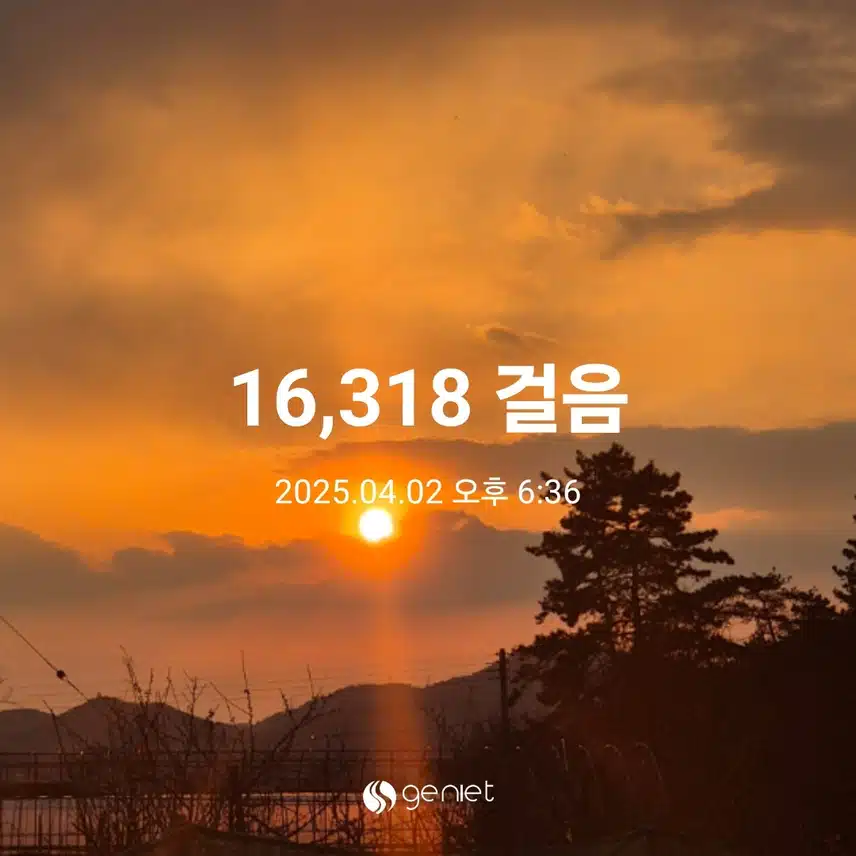 수요일 만보걷기