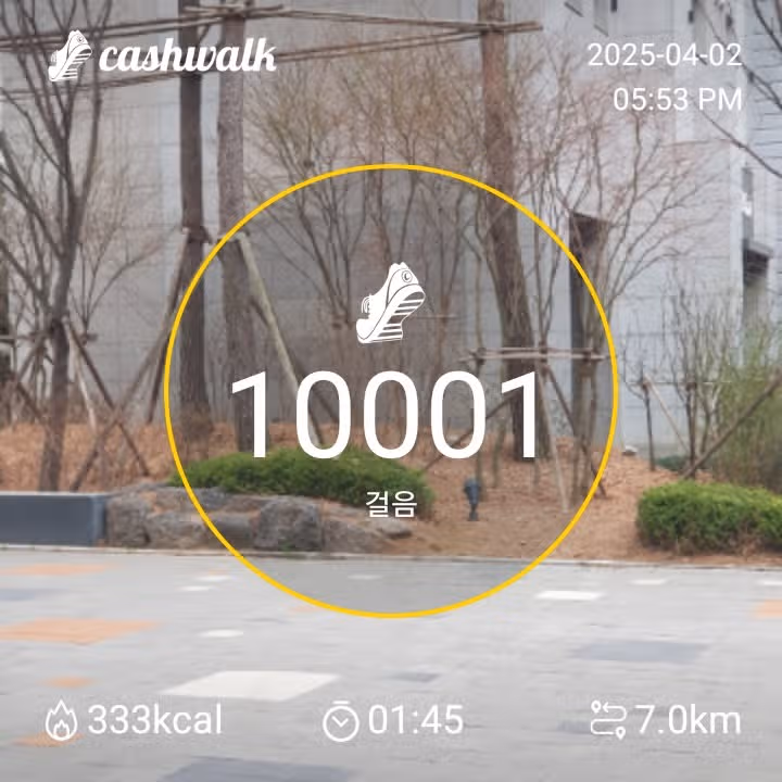 만보걷기 