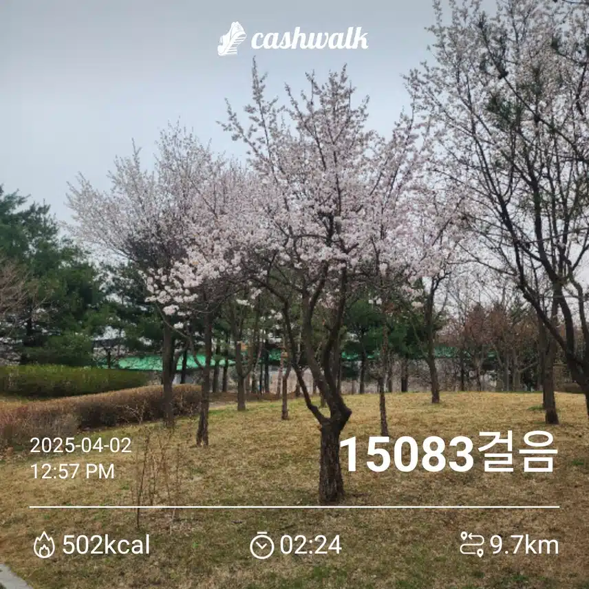 오전에 오운완 ~^^