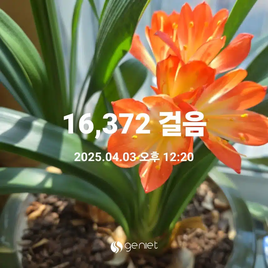 걷기운동