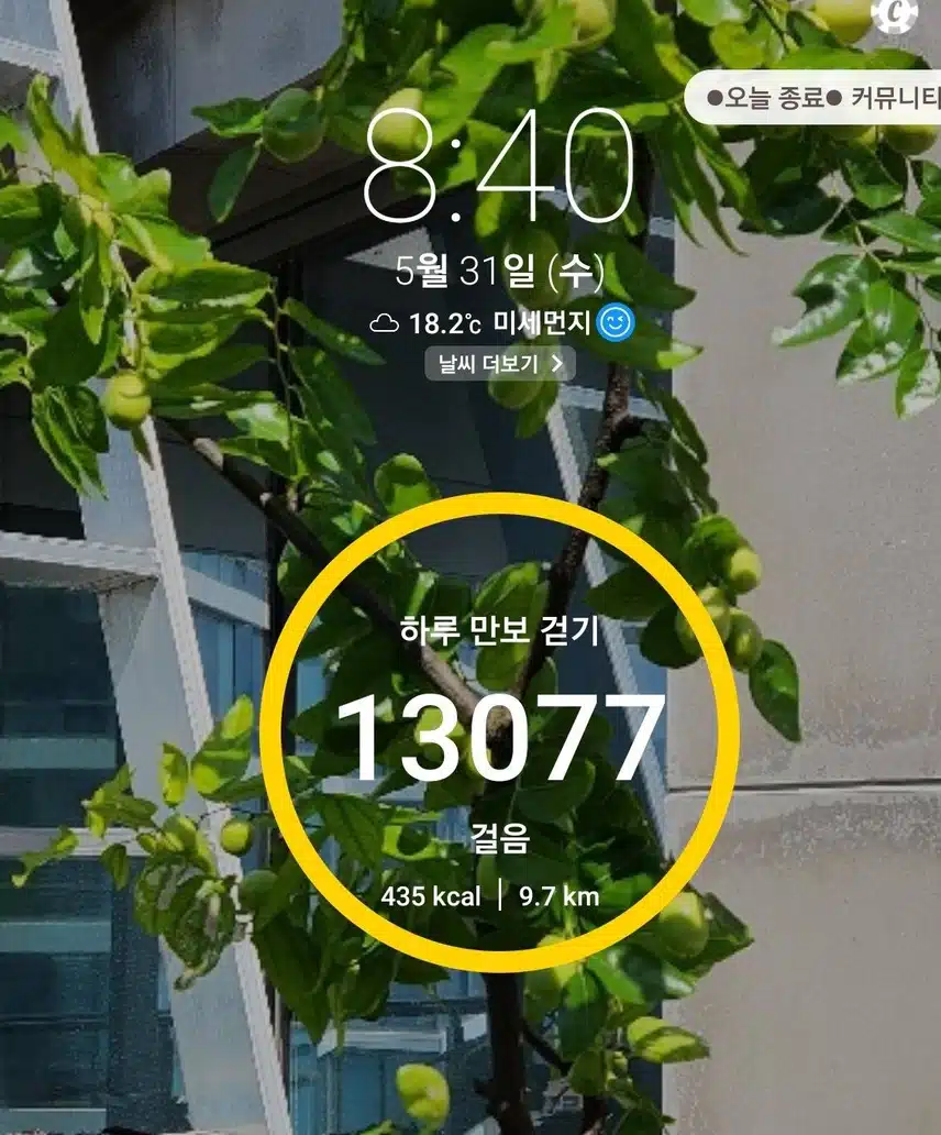 만보걷기