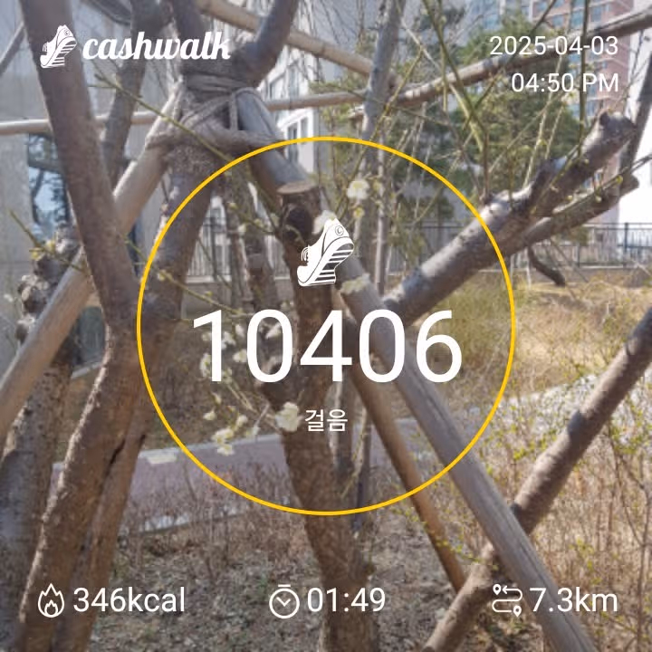 만보걷기 