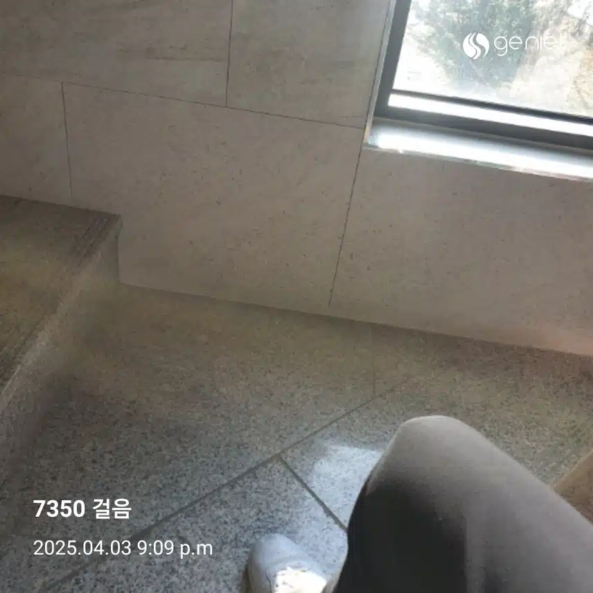 계단 운동