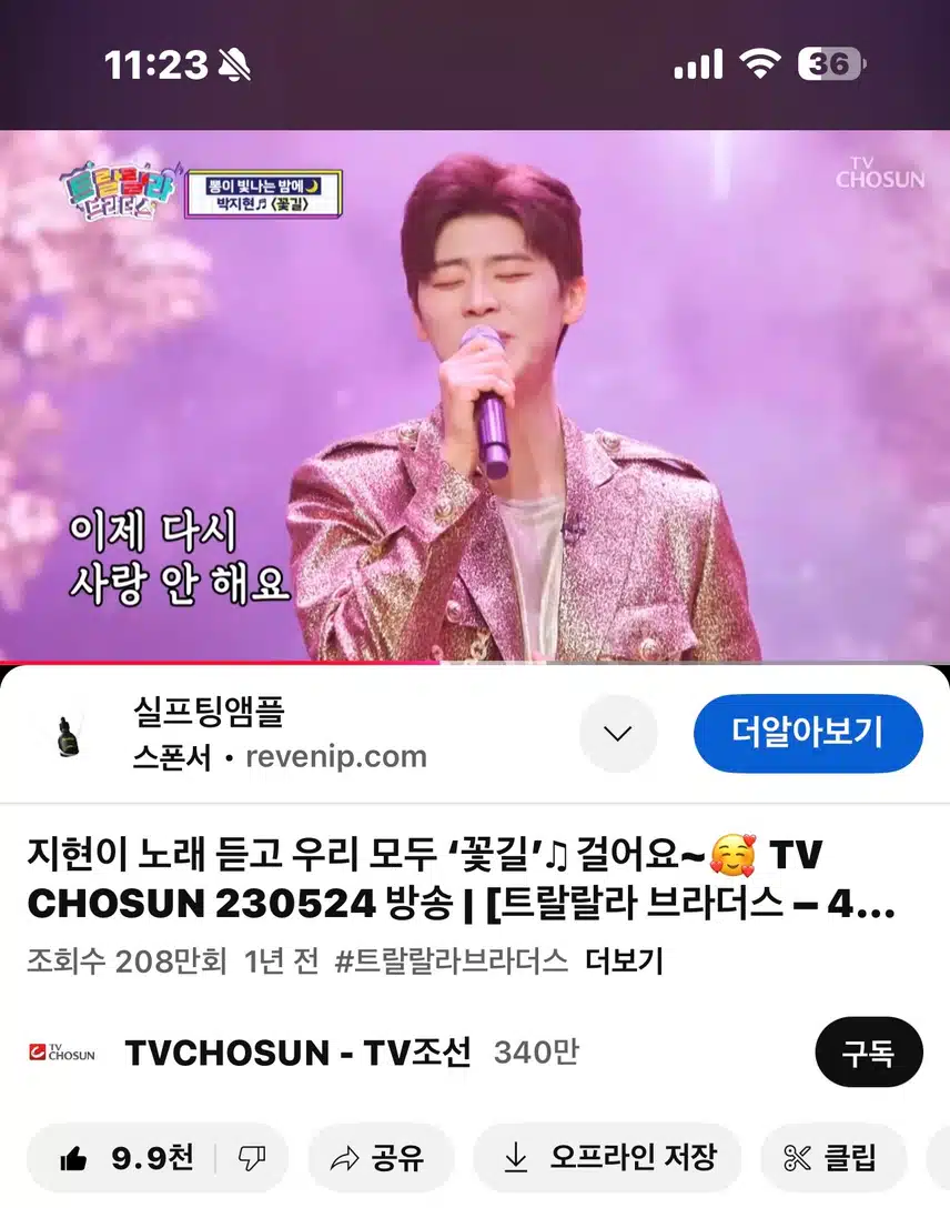 언제 들어도 너무 좋은 꽃길~ 