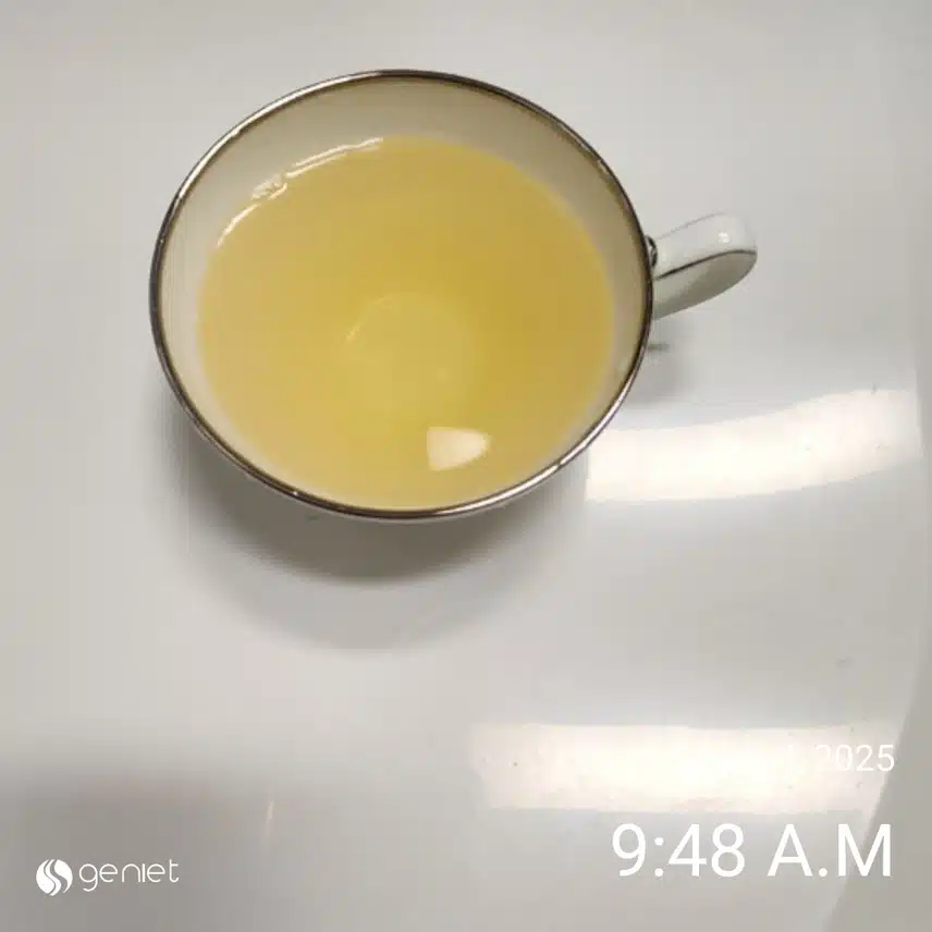 공복물 