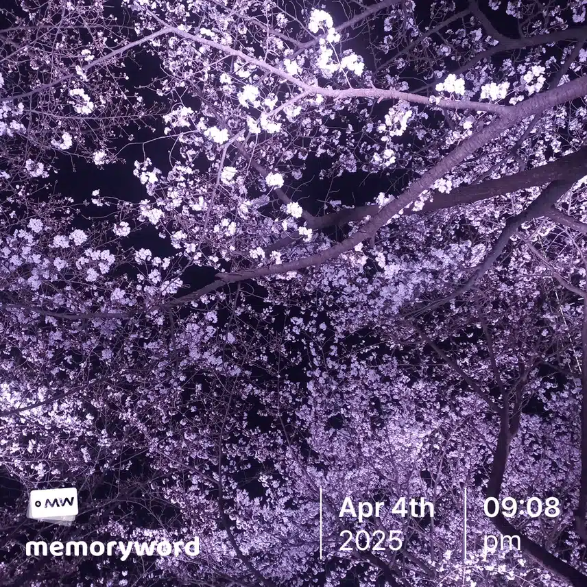 참을 수가