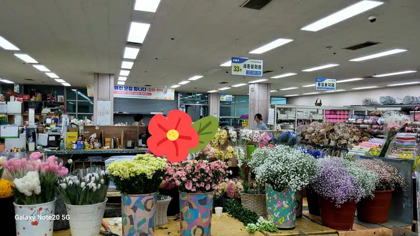 화훼농원에서 꾳보고 데려 왔네요ㆍ 