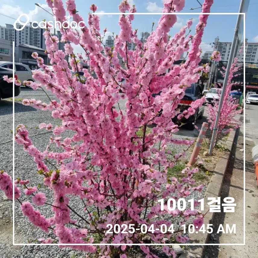 만보걷기