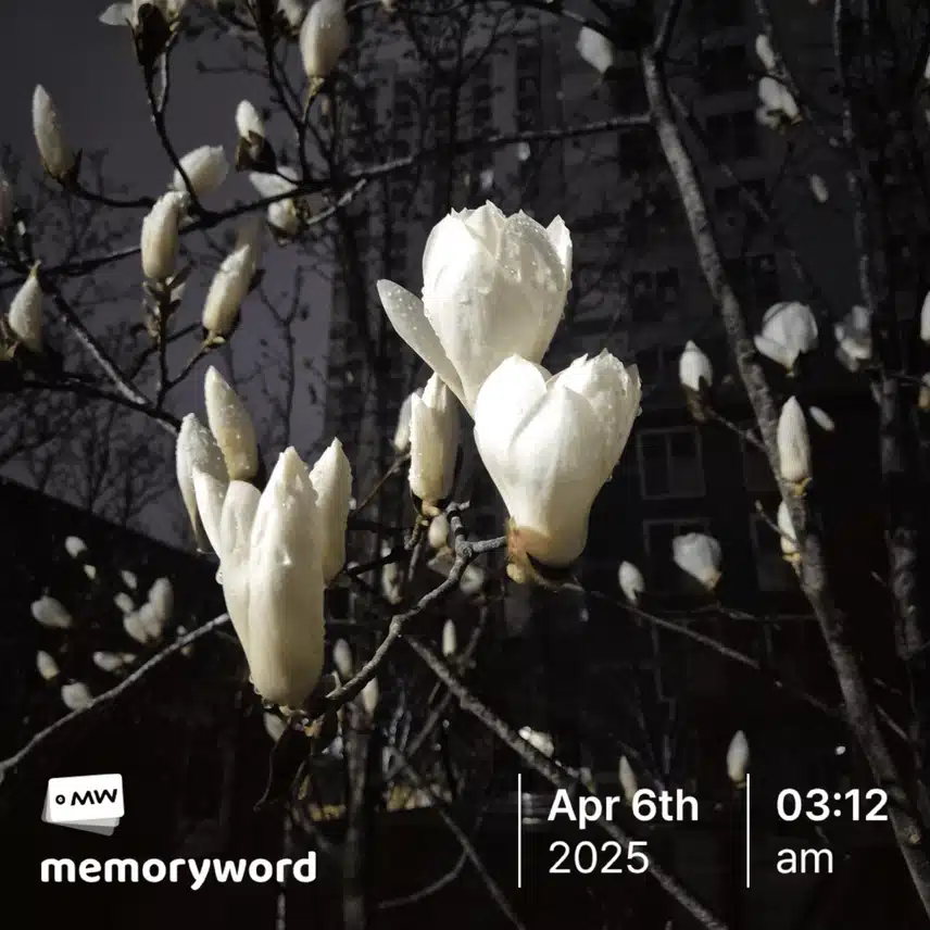 5.새벽 산책
