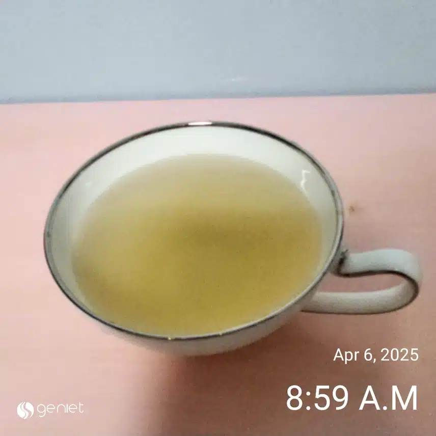 공복물 