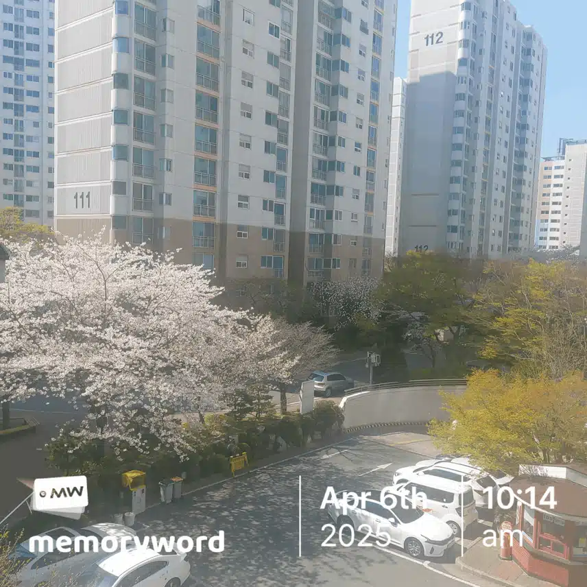 활짝피었네