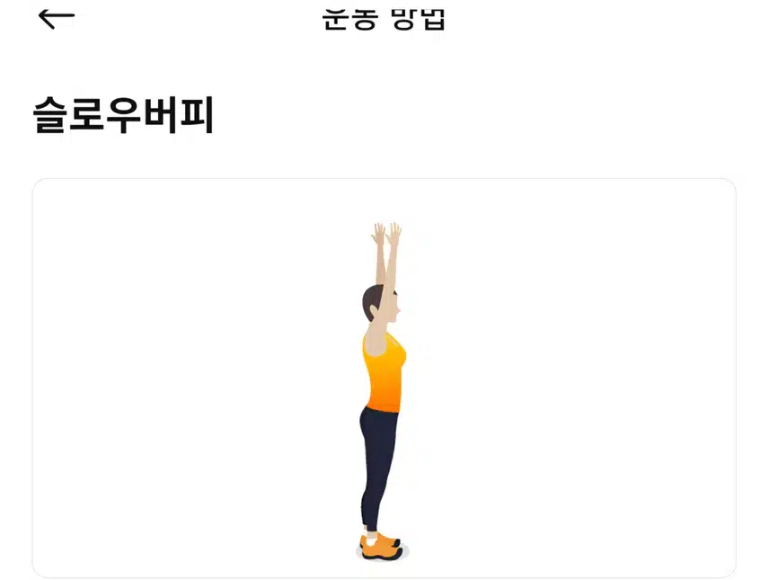 (캐시홈트) 서서하는 전신 근력운동 
