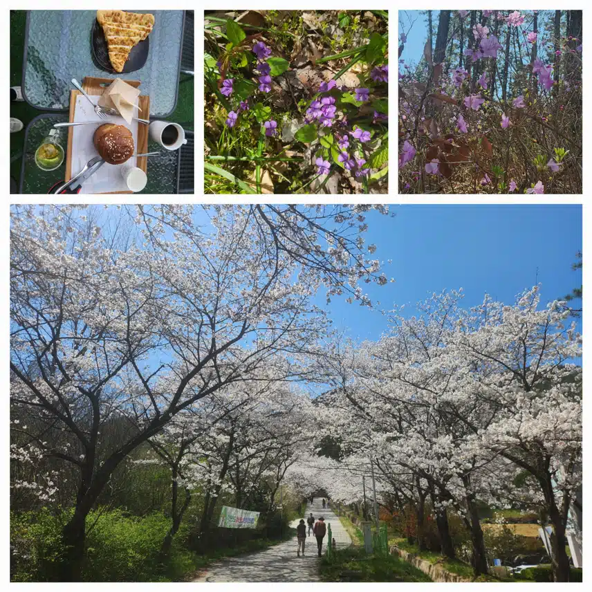 봄꽃들 