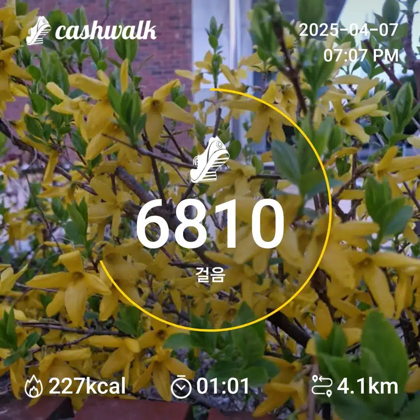 인증