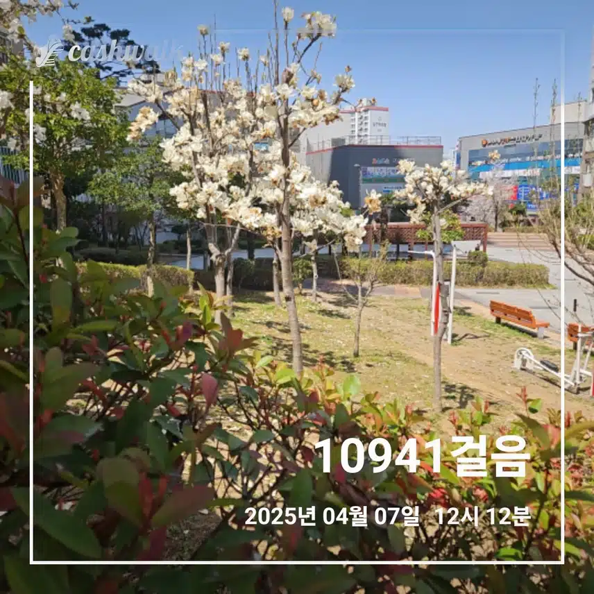 월요일 만보걷기로 ☀️ 🌞 ☀️