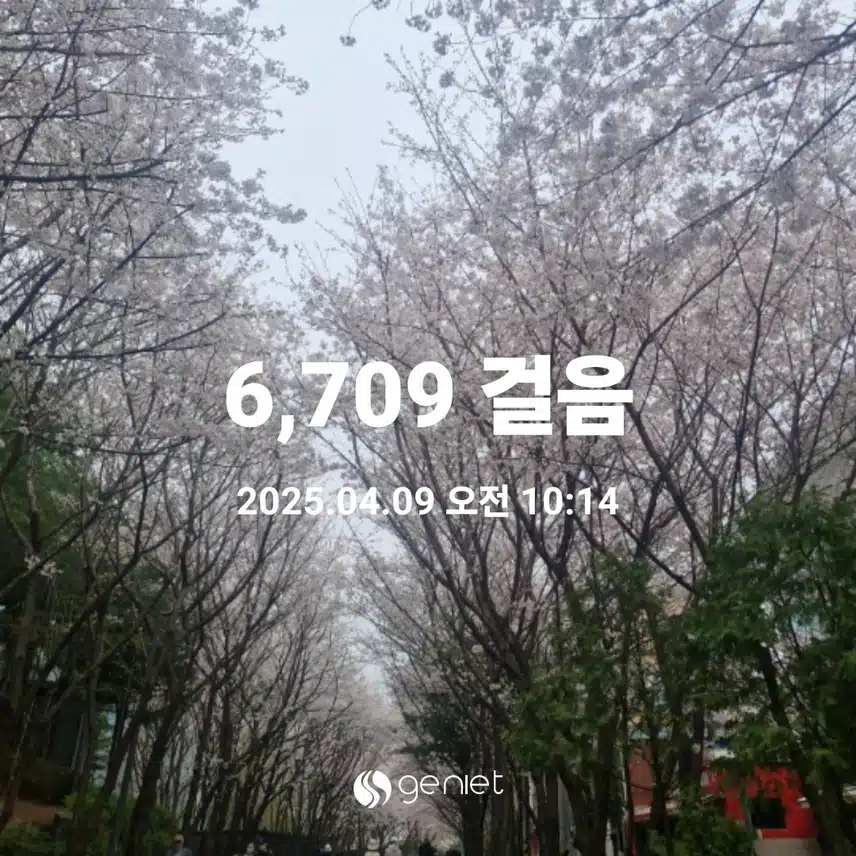 서울 숨은 벚꽃 명소..