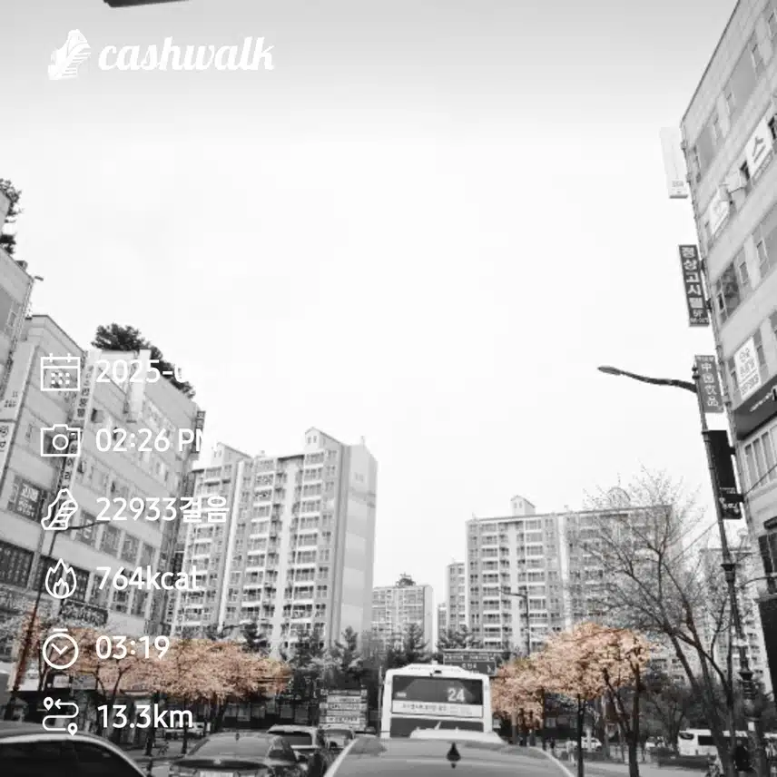 만보걷기 352일차 인증
