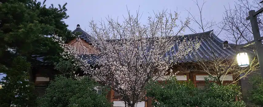 그냥 예뻐서 