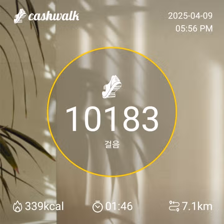 수요일 만보