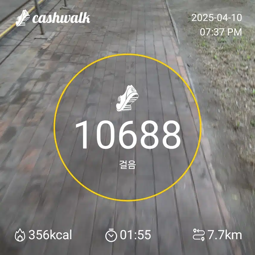 인증