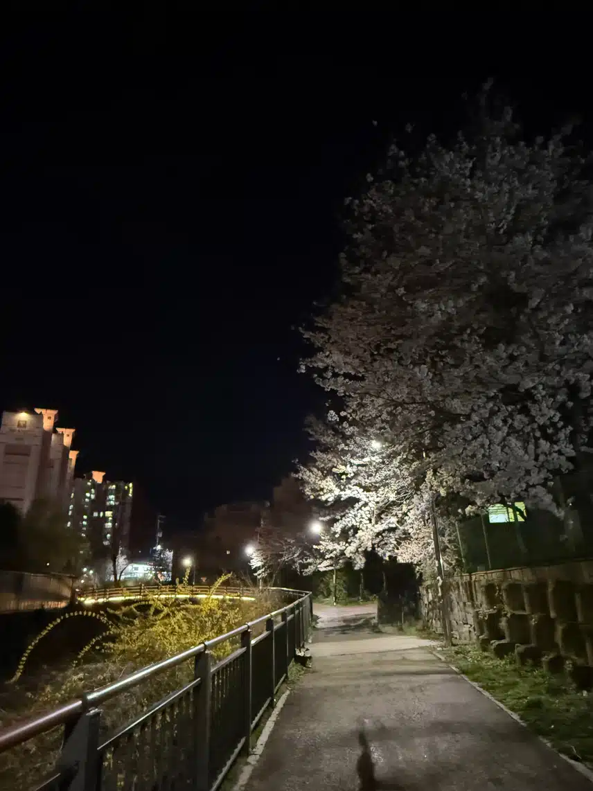 달밤에 운동 해요