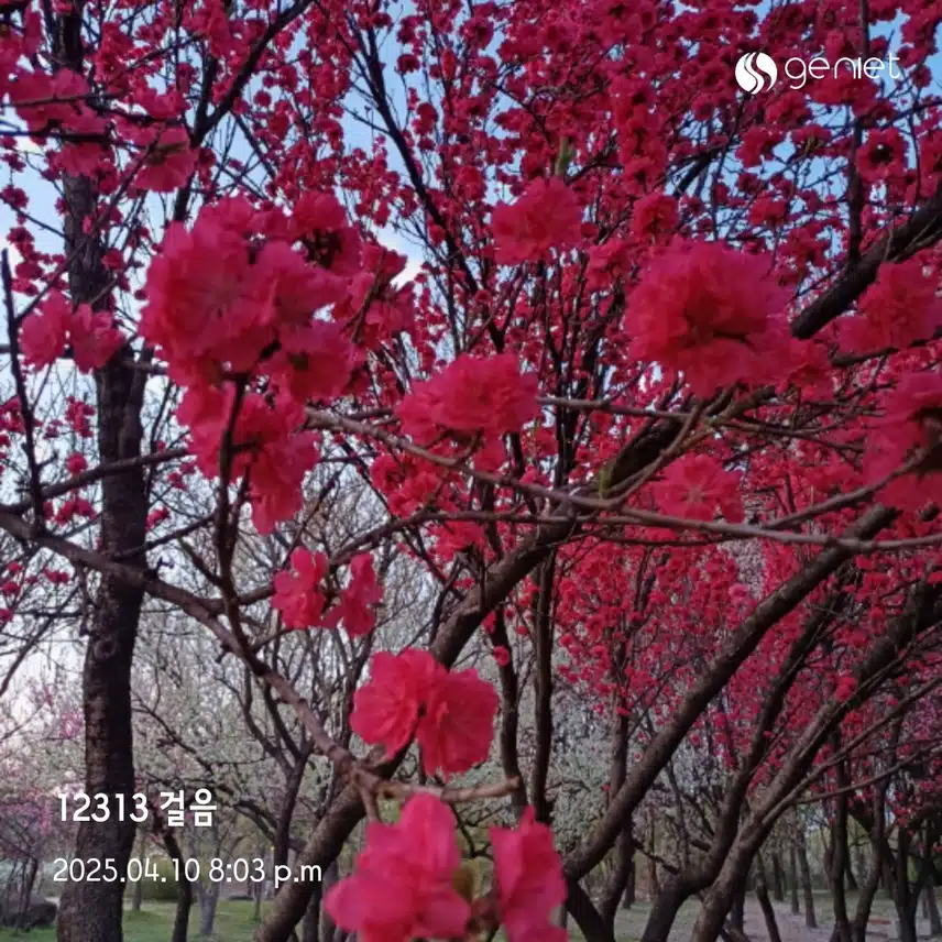 목욜 걸었어요 🌸