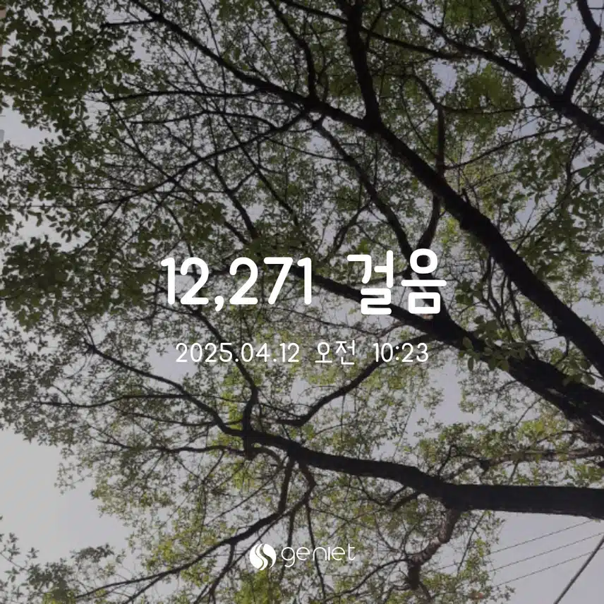 토 만보완료