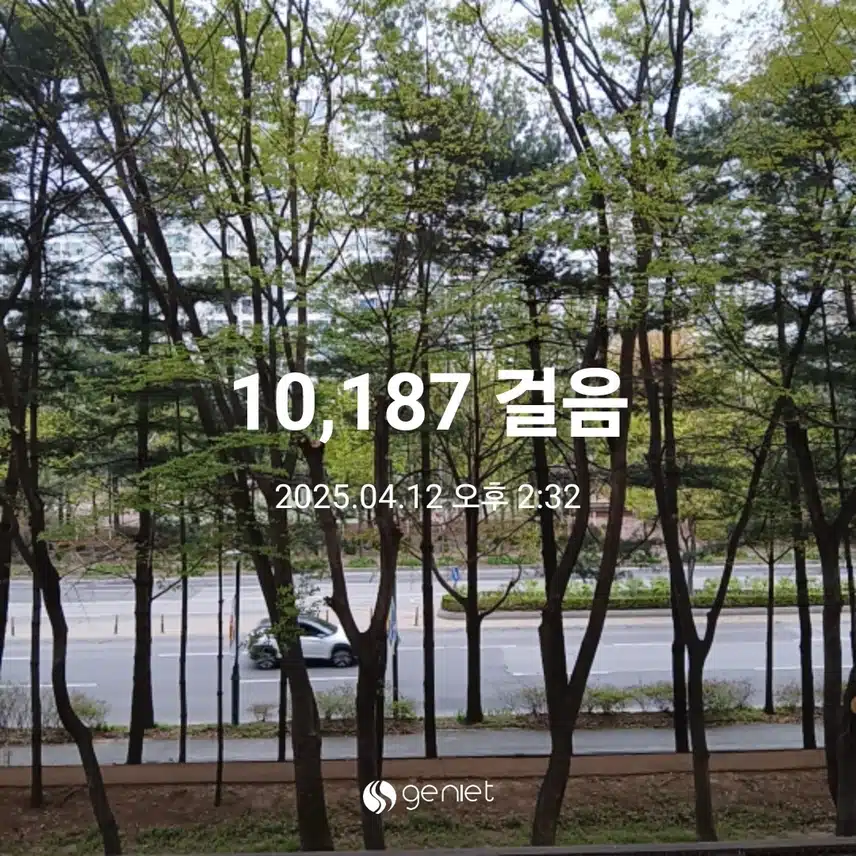 토요일 걷기운동^^