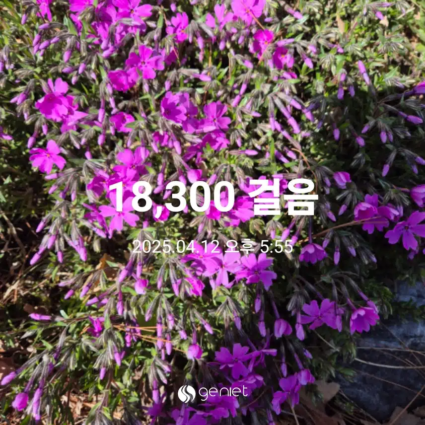 만보완주했어요 