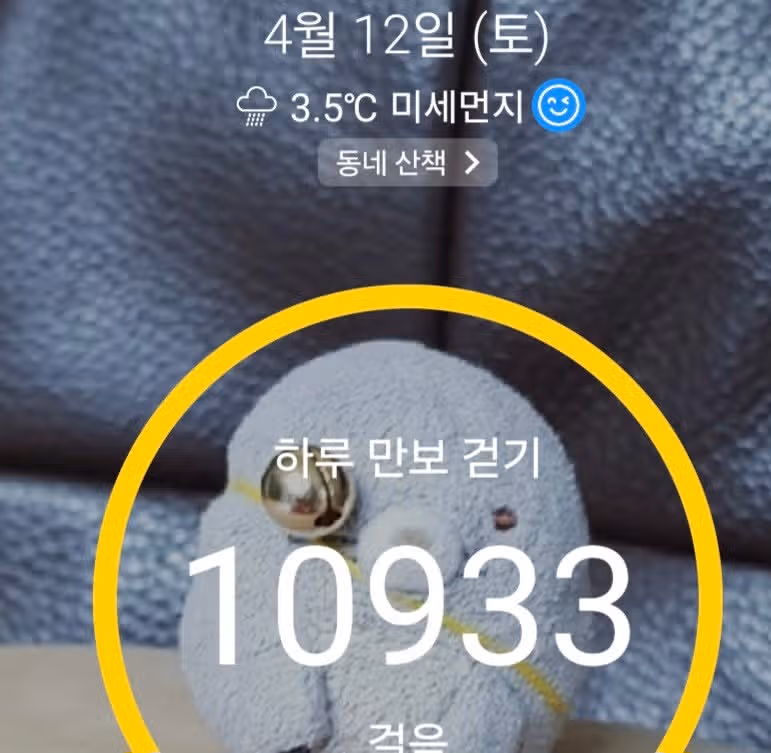 토요일 만보걷기 완료 했어요 ~