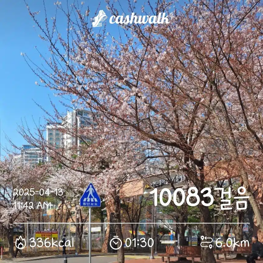 일요일걷기