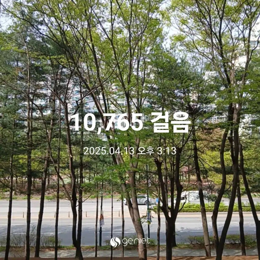 일요일 걷기운동^^