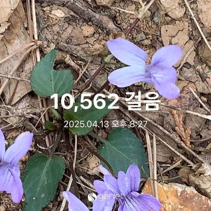 만보 걷기