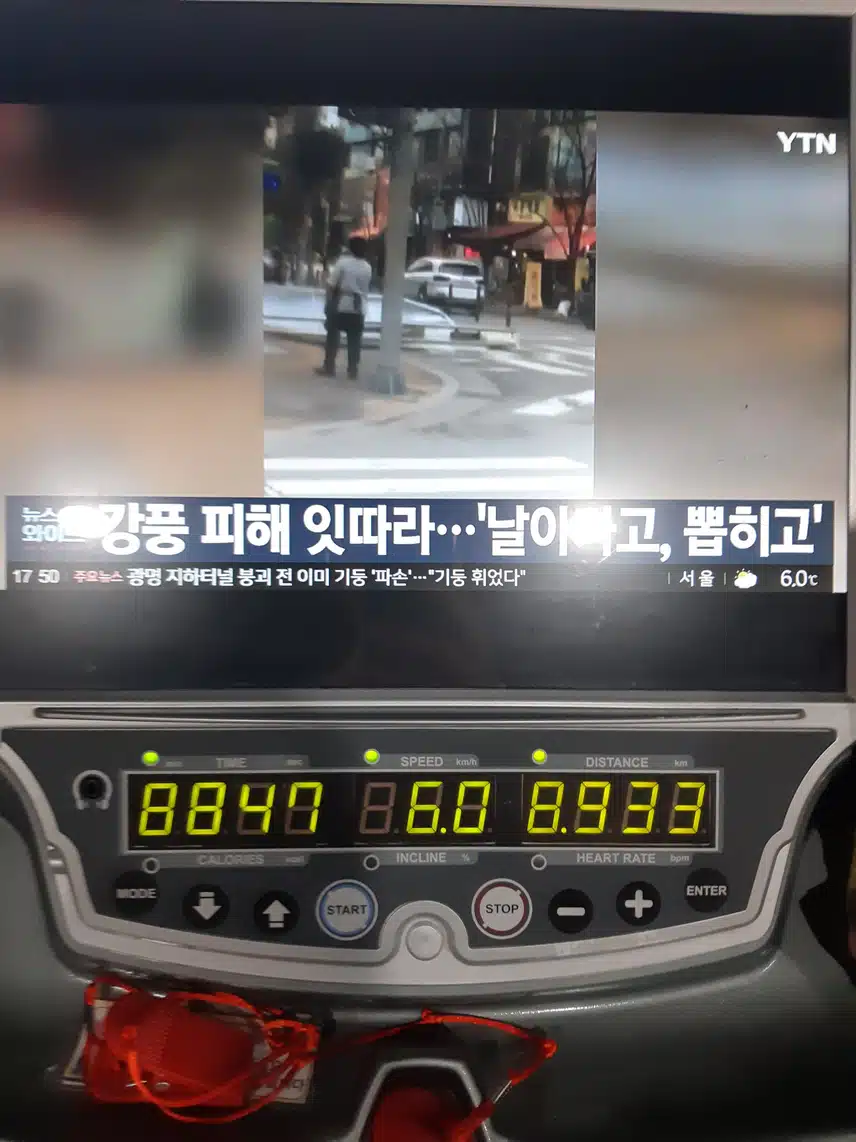 운동