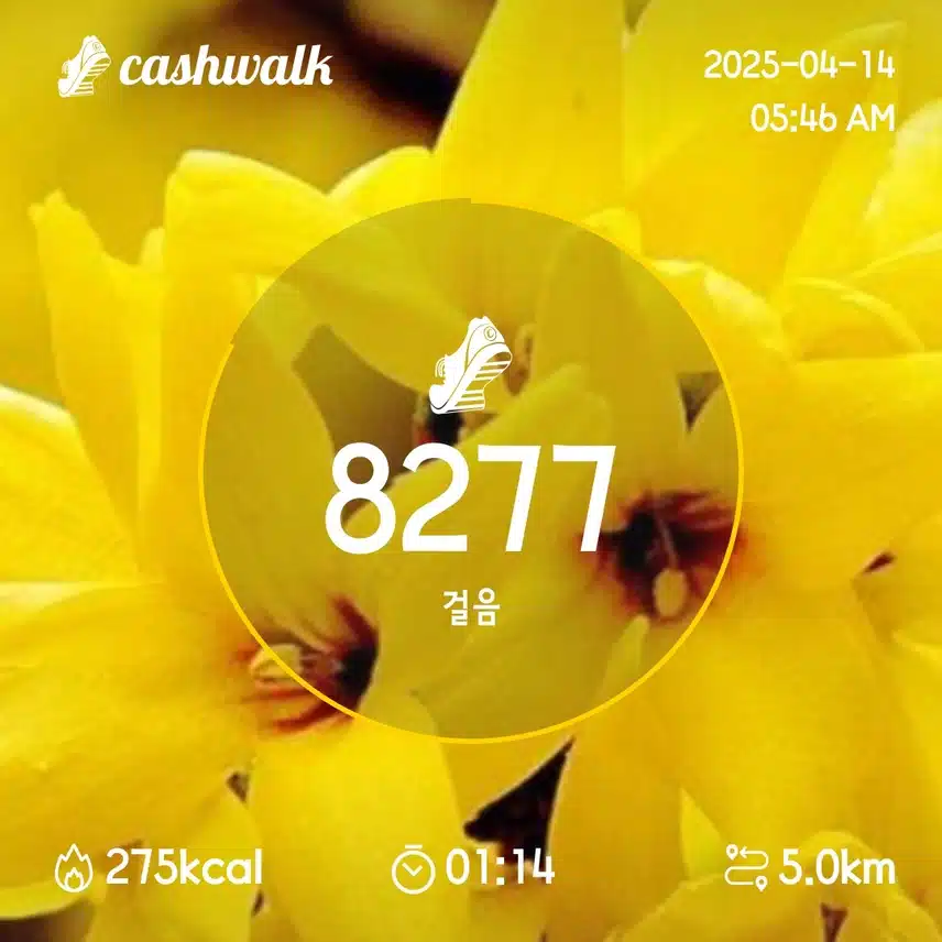 1일차