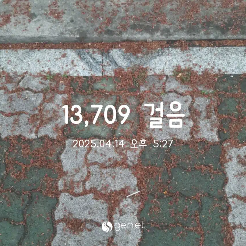 월 만보완료