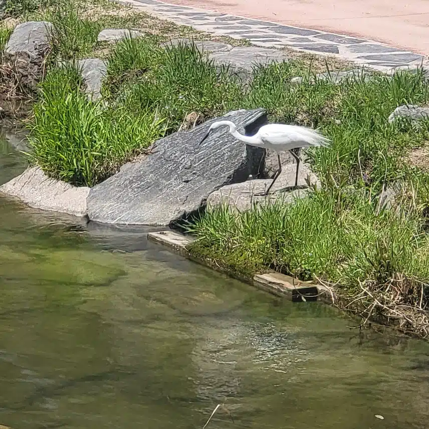 청계천로 새