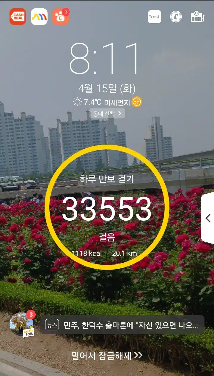 삼만보 걷기 
