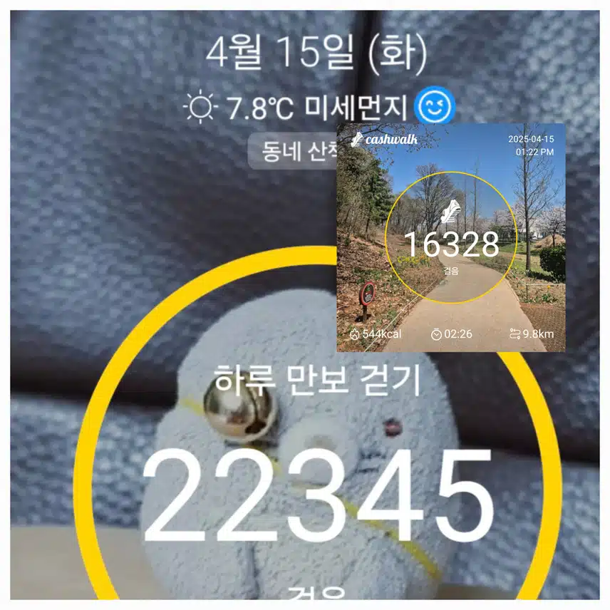 화요일 나와의약속 걷기완료~^^